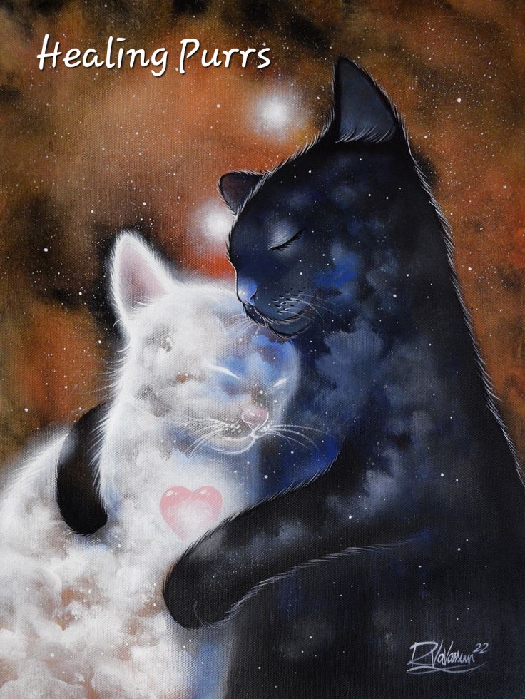 HealingPurrsPawty (RIP 🌈 all Angels ❤️) tweet media