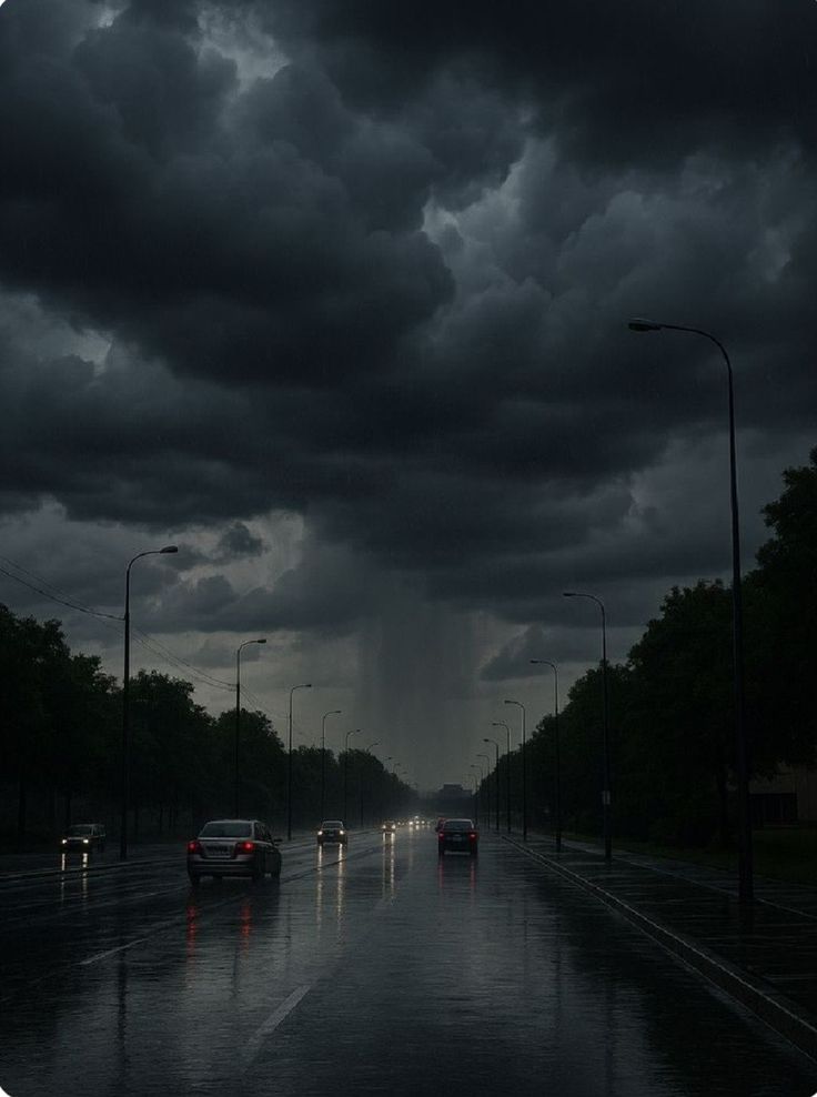 2025pics's tweet image. 