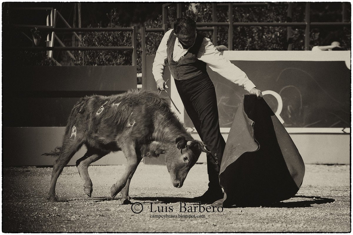 Pepe Mayor, rumbo a la temporada 2026 share.google/WkDWFFEL18VUJj…