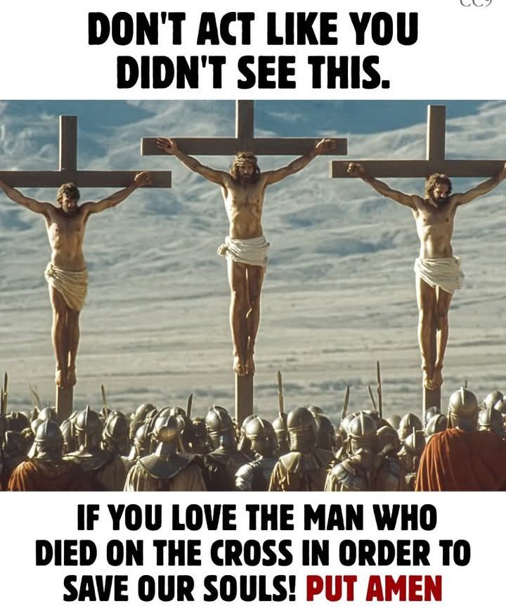 RosarySon tweet media