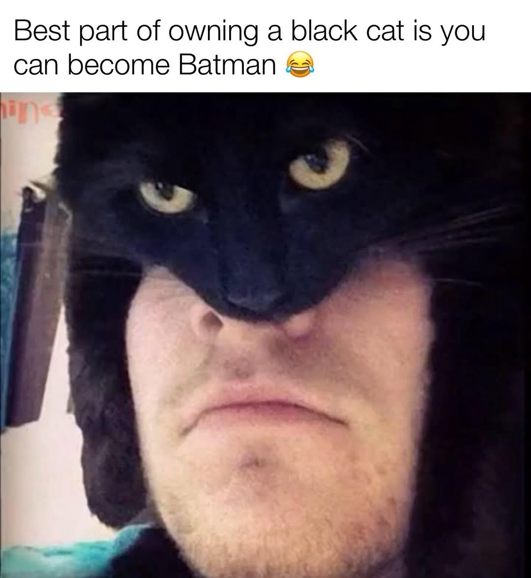 llandoniffirg's tweet image. 🤣🤣🤣🤣🤣🤣🤣🤣