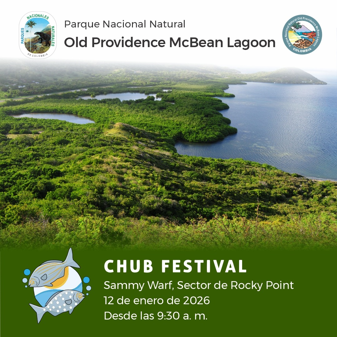 7 vectores de stock y arte vectorial de Parque nacional canaima |  Shutterstock, image size:1080x1080