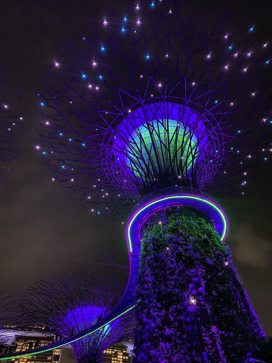 gilliana ❥ tweet media