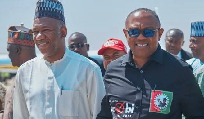 Datti Baba-Ahmed, vice-presidential candidate of the Labour Party (LP) in the 2023 elections, says Peter Obi did not defect to the African Democratic Congress (ADC).

“It will be good if everyone listens to Peter Obi’s comments at Enugu. He mentioned joining the coalition. I