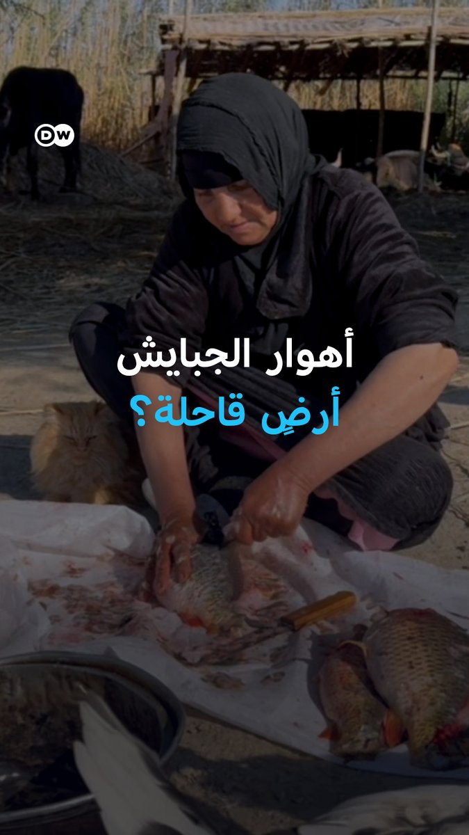 أهوار الجبايش.. من غنى وفير إلى ندرة في الموارد الأساسية #بانوراما_DW 