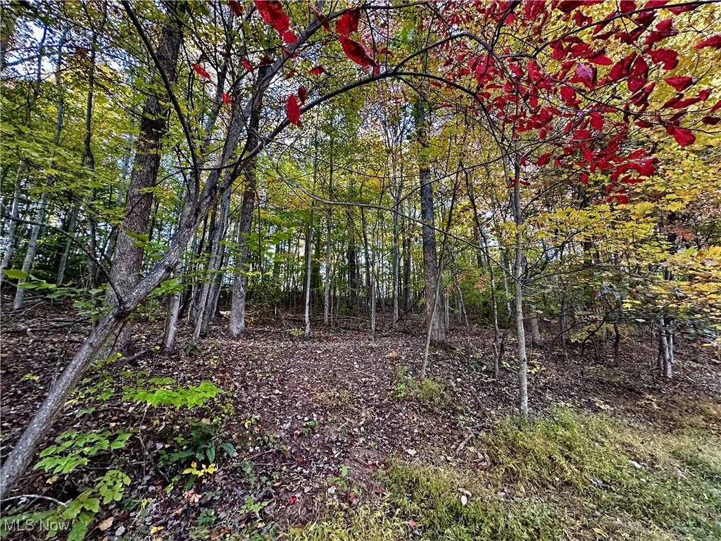 LisaTaylorReal1's tweet photo. County Line Road, St Marys, WV, 26170
0 bed | 
Active | 87500
https://t.co/nLqBWEaNYy
Prime hunting property on 50 beautiful wooded acres off of County Line Road. Come see what wild, wonderful West Virginia has to offer on this undeveloped land! An old homestead once stood... https://t.co/8R0Mor3109