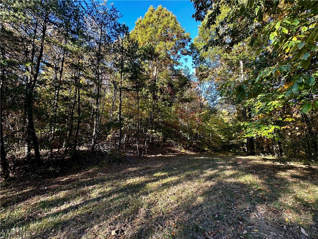 LisaTaylorReal1's tweet photo. County Line Road, St Marys, WV, 26170
0 bed | 
Active | 87500
https://t.co/nLqBWEaNYy
Prime hunting property on 50 beautiful wooded acres off of County Line Road. Come see what wild, wonderful West Virginia has to offer on this undeveloped land! An old homestead once stood... https://t.co/8R0Mor3109