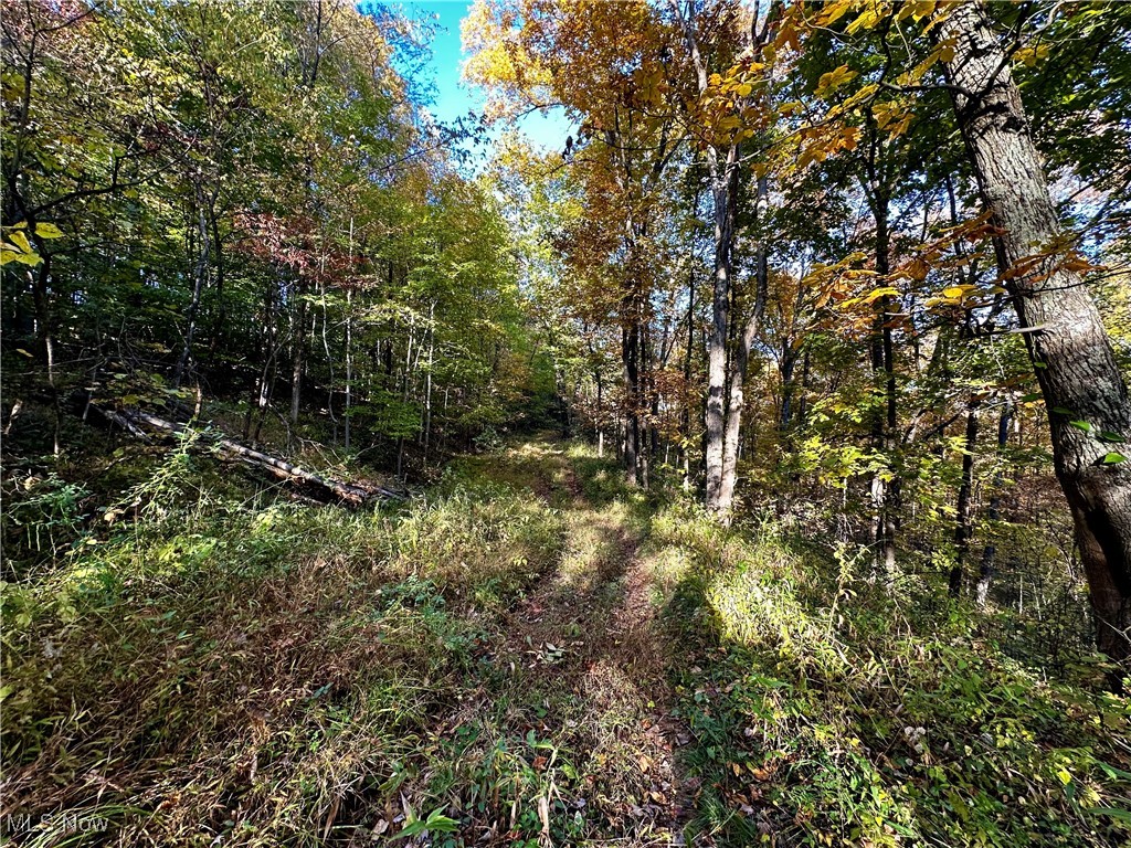 LisaTaylorReal1's tweet photo. County Line Road, St Marys, WV, 26170
0 bed | 
Active | 87500
https://t.co/nLqBWEaNYy
Prime hunting property on 50 beautiful wooded acres off of County Line Road. Come see what wild, wonderful West Virginia has to offer on this undeveloped land! An old homestead once stood... https://t.co/8R0Mor3109