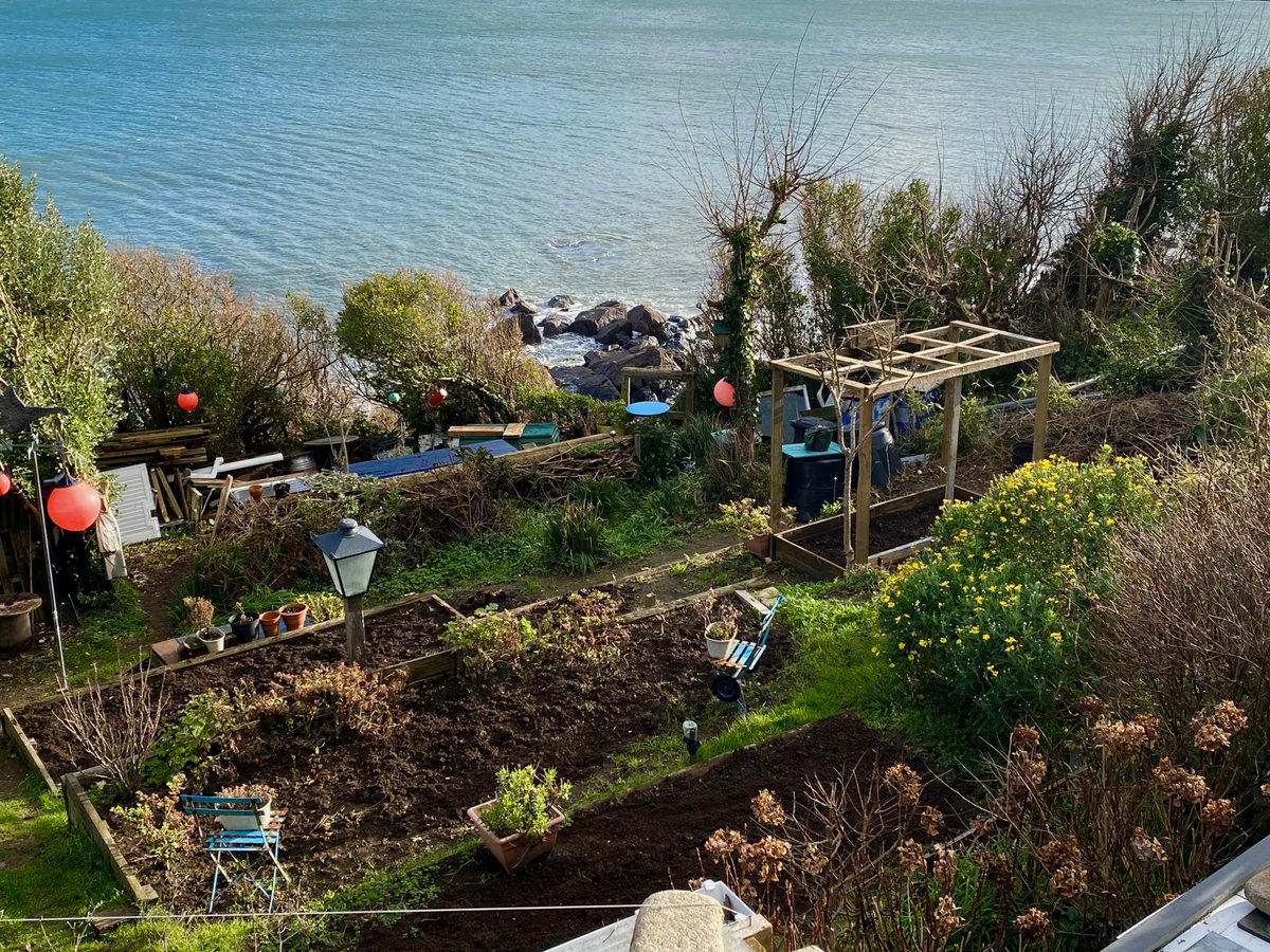bakrim2000's tweet image. After Storm Goretti  ⛈️⚡
#allotment #Cornwall