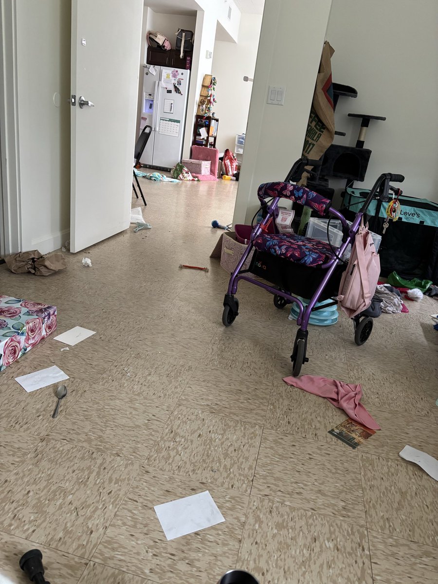 Beth Fox tweet media