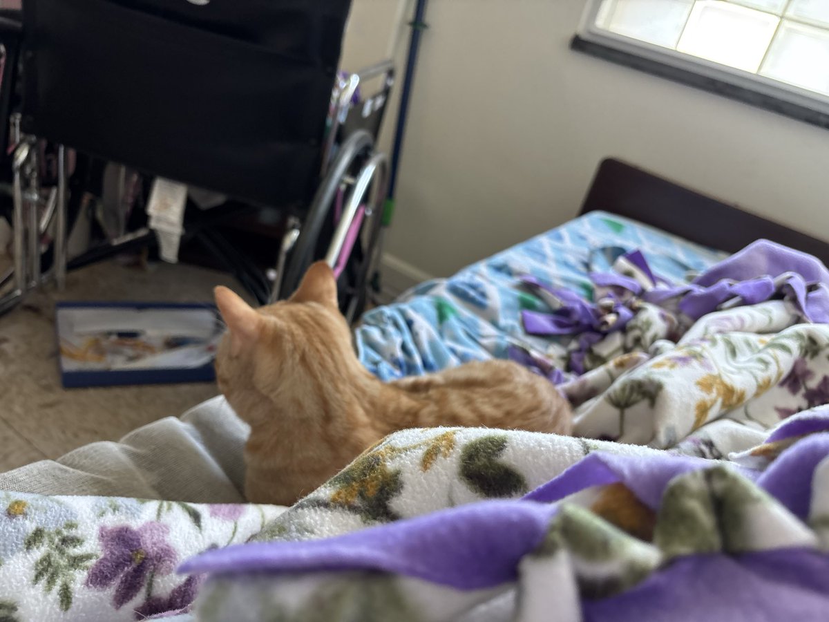 Beth Fox tweet media