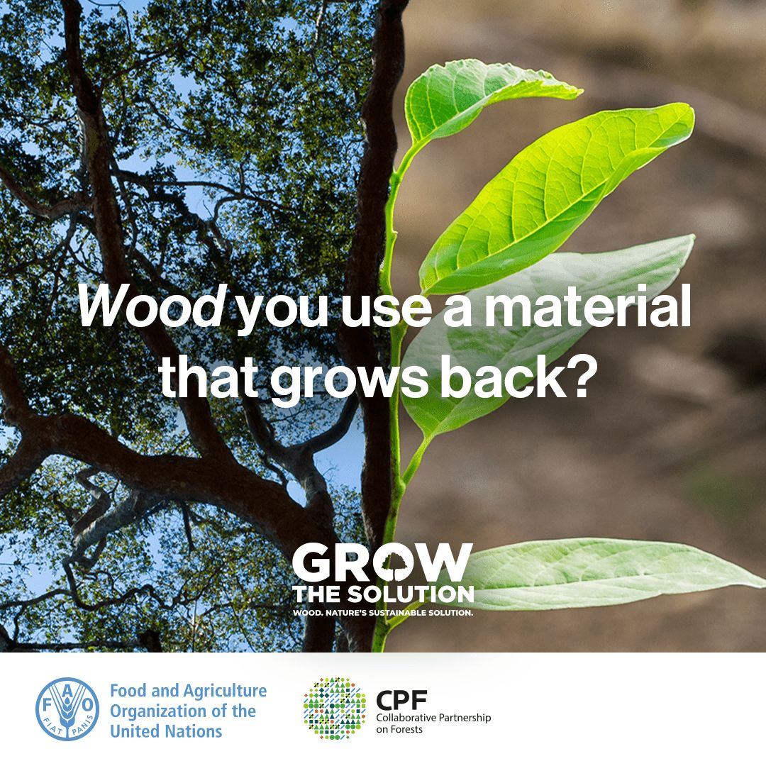 #WoodYou use a material that grows back?

Since 2000 the area of certified sustainably managed forests has increased almost 8 times to an area nearly the size of the EU. 

🪵When responsibly sourced, wood is nature’s renewable material.
 
#GrowtheSolution #CPForests #SW4SW