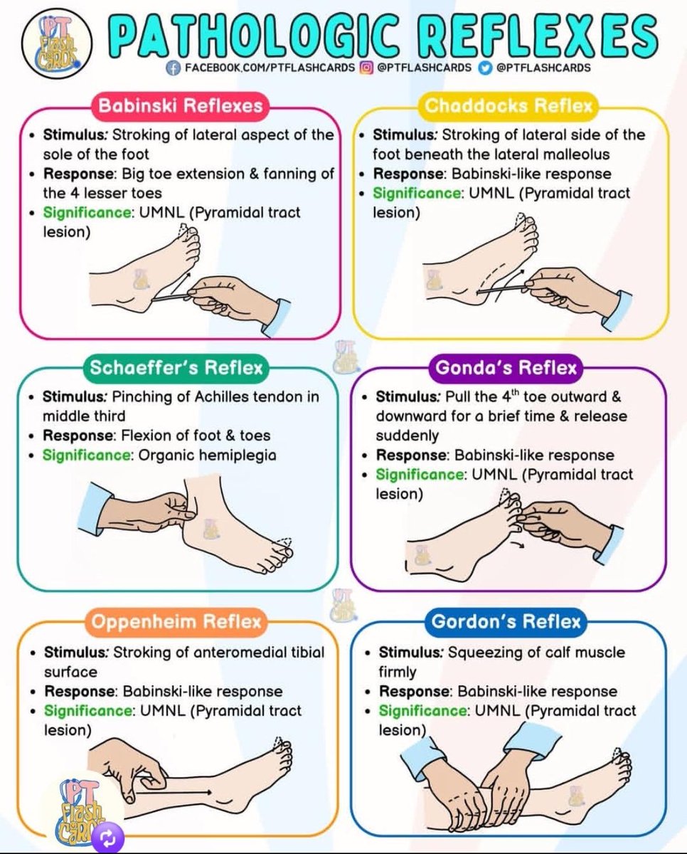 Medicalinfo111's tweet photo. Pathological reflexes https://t.co/8n7RxOrBqa