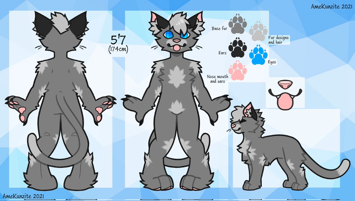 Sosig 🇨🇭 tweet media