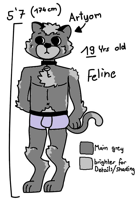 Sosig 🇨🇭 tweet media