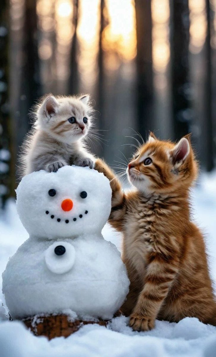 Meraviglioso fine settimana 😘
Wonderful weekend Y'ALL ❤️

💕🐾