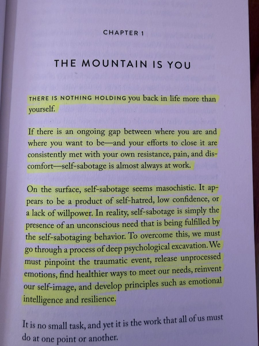 Powerofbooks3's tweet photo. The Mountain is You https://t.co/16IOJFwWv0