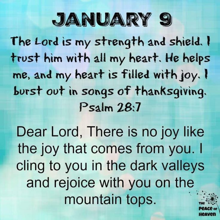 Karam Ellahie tweet media