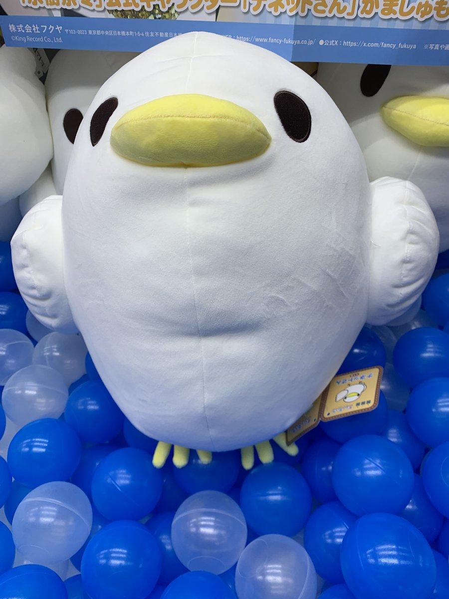 ナネットさん ましゅもっち～GiGOグループのお店限定～ 入荷しました