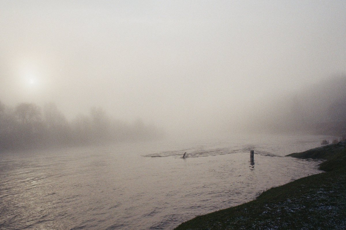 Happy fog Friday #filmphotography 🎞️