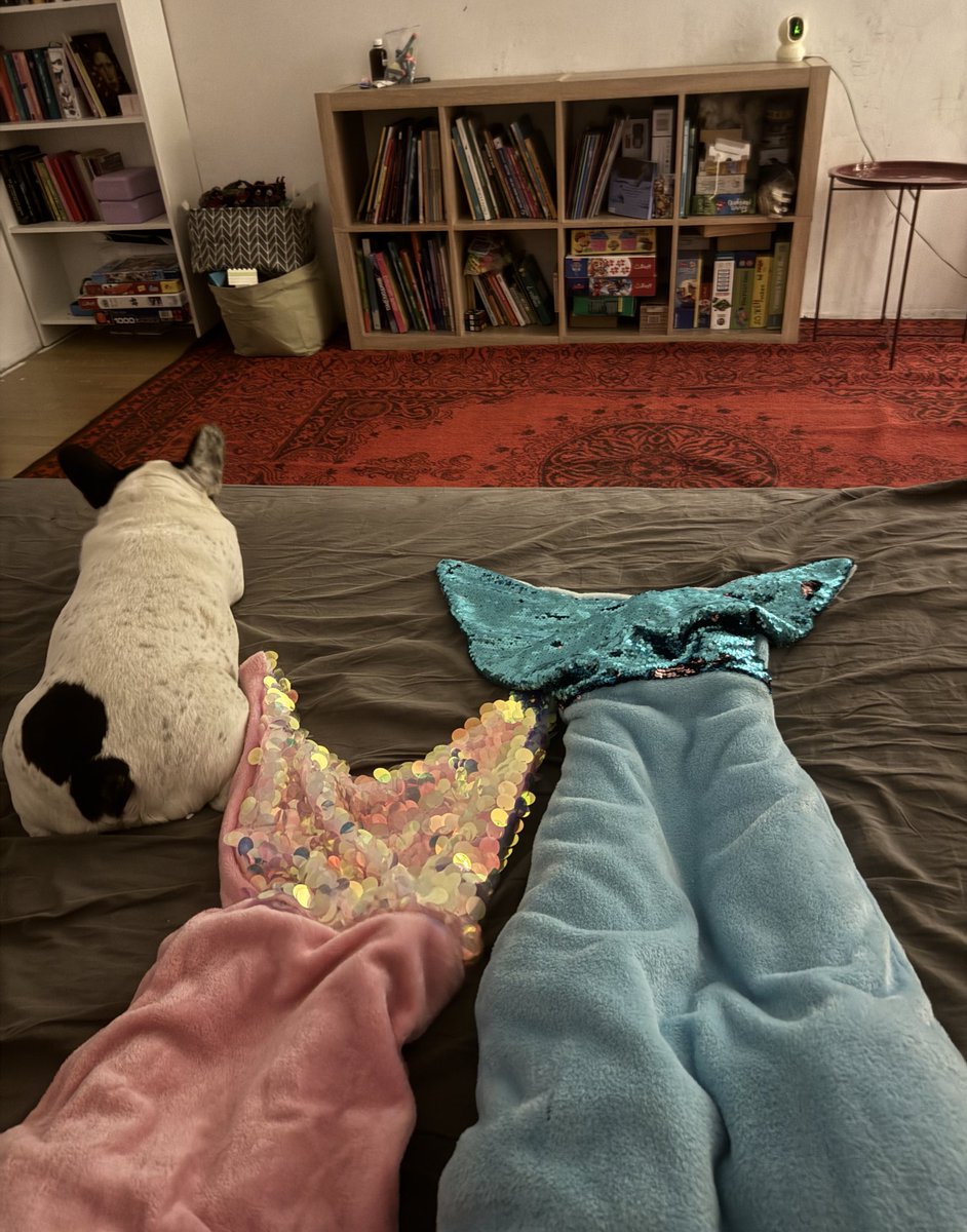 Оностосія tweet media