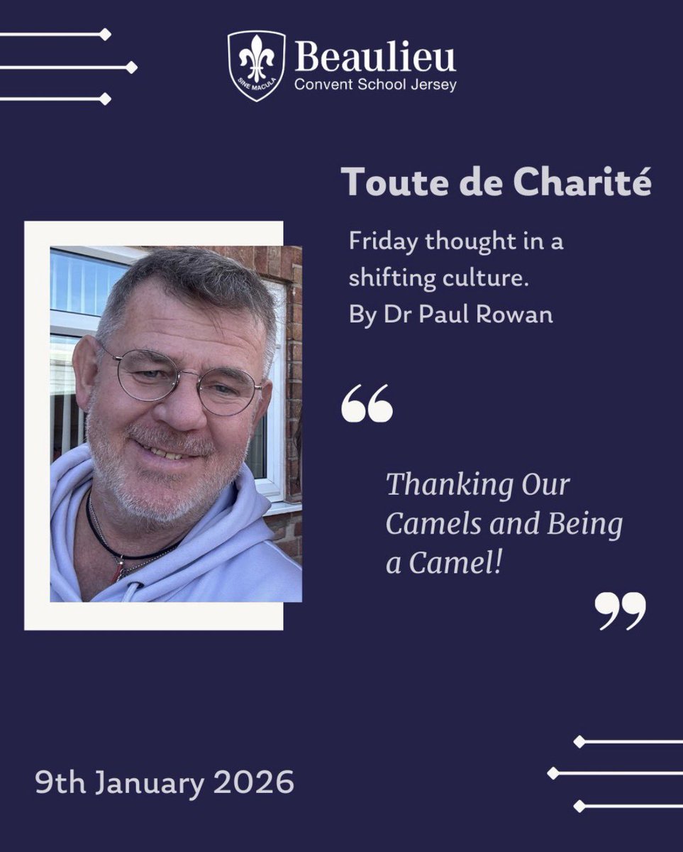 Paul Rowan tweet media