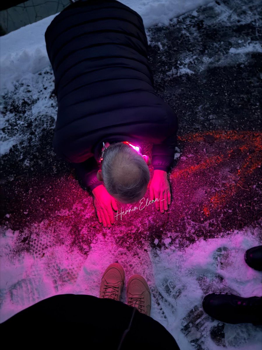 Schöne neues Halsband fürs Gassi gehen 😏