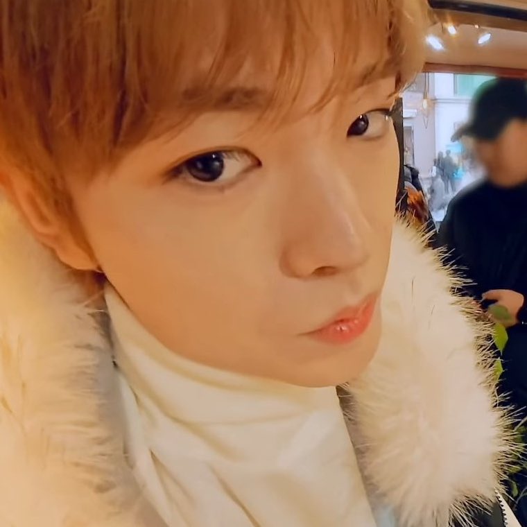 kulwichyuu's tweet image. meow meow meow meow