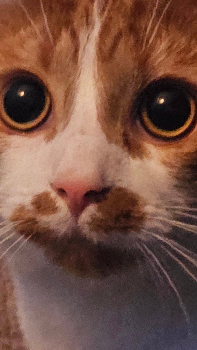 Slinky ✨ tweet media