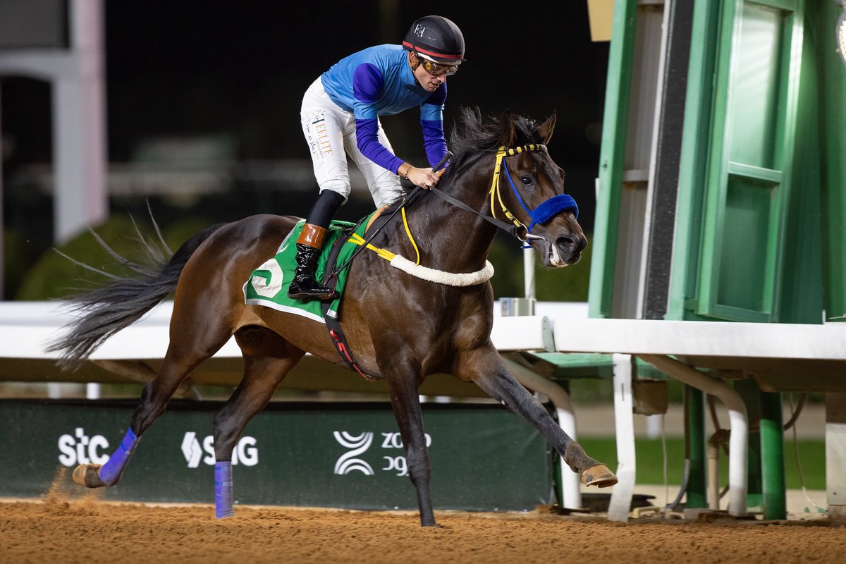 ميدان الأمير سلطان tweet media