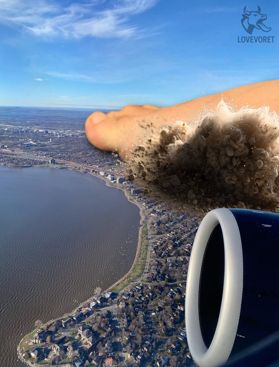 Moooo~
BIG FOOT 🐮🦶