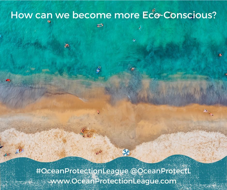 How can we become eco-conscious tourists? buff.ly/4abdSz8 

#OceanProtectionLeague #SaveTheOcean #ocean #beach #nature #sea #travel #love #sky #water #climatechange #Sustainable 🌊 🐟 🪸 🦈