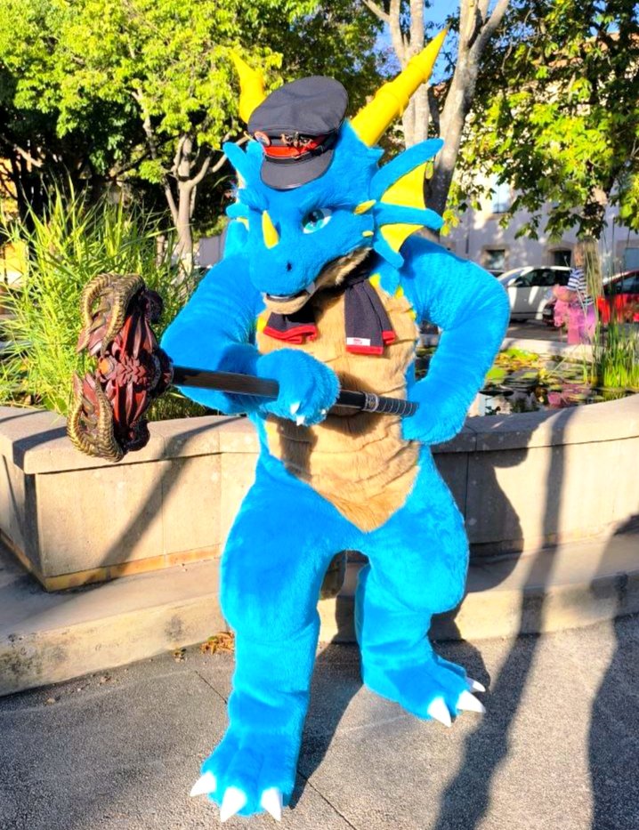 🔷 There are several ways to check tickets : 🚆
The gentle way… and mine. 🐉⚡