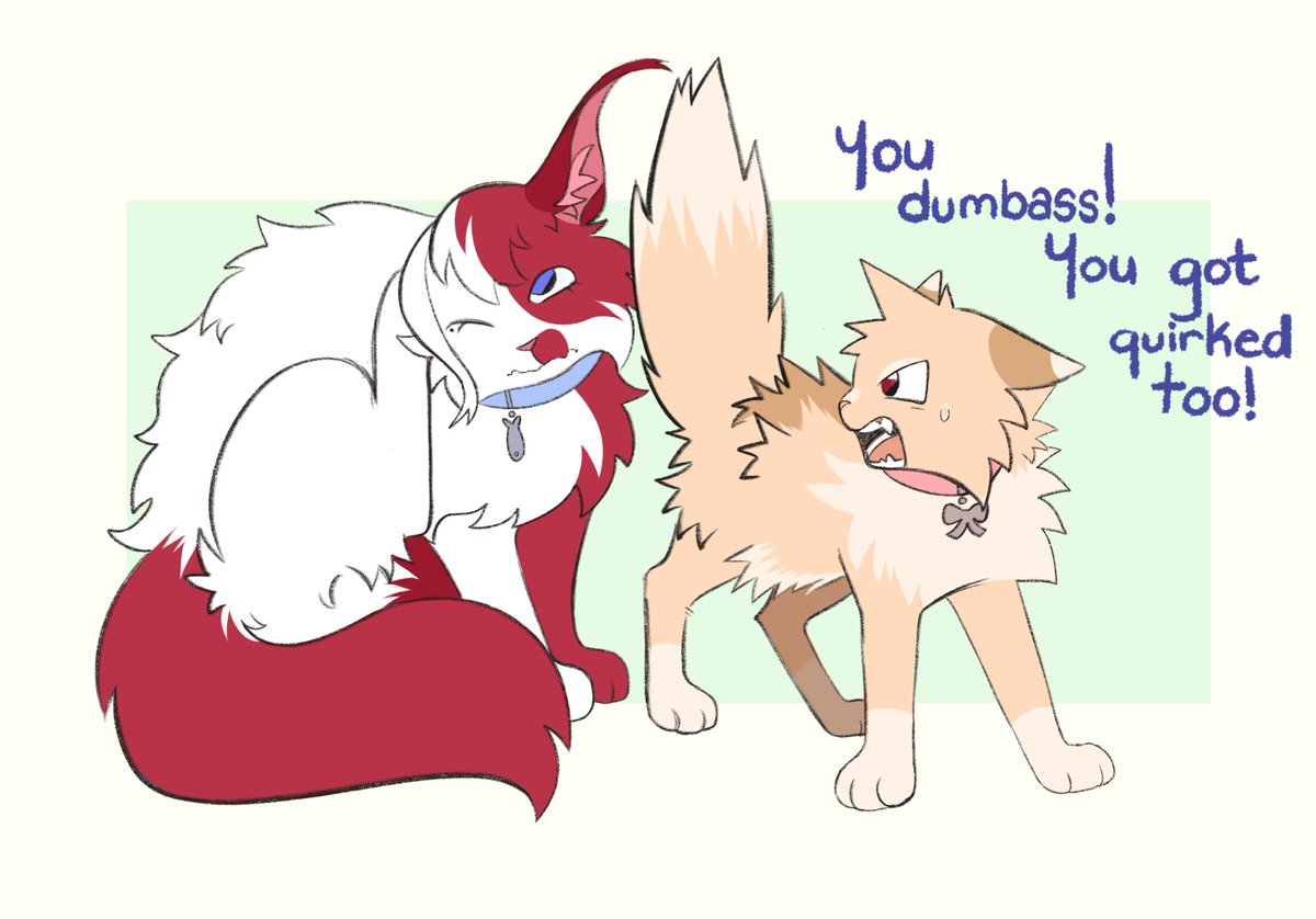 Lola 🐰 tweet media