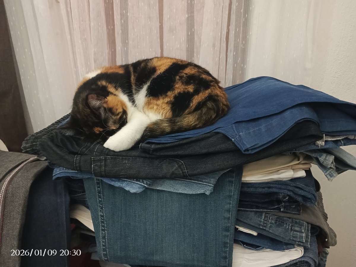 Firûzan yine çok yoruldu bugün 🙃