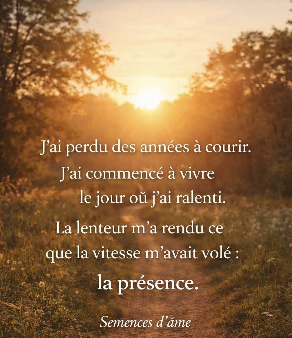 csibon27's tweet image. 🥰😇