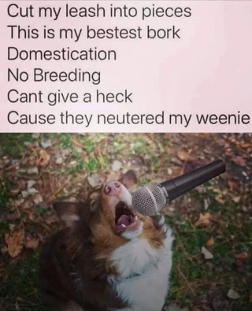 WholesomeMeme's tweet image. 