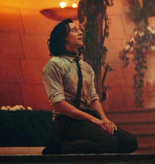 havanesemom13's tweet image. Loki all day every day, look at that versatility below for reference