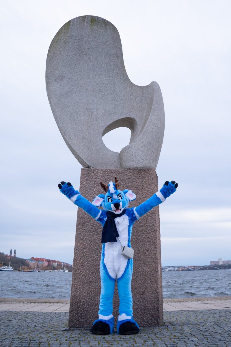 Nordic 🌸 tweet media