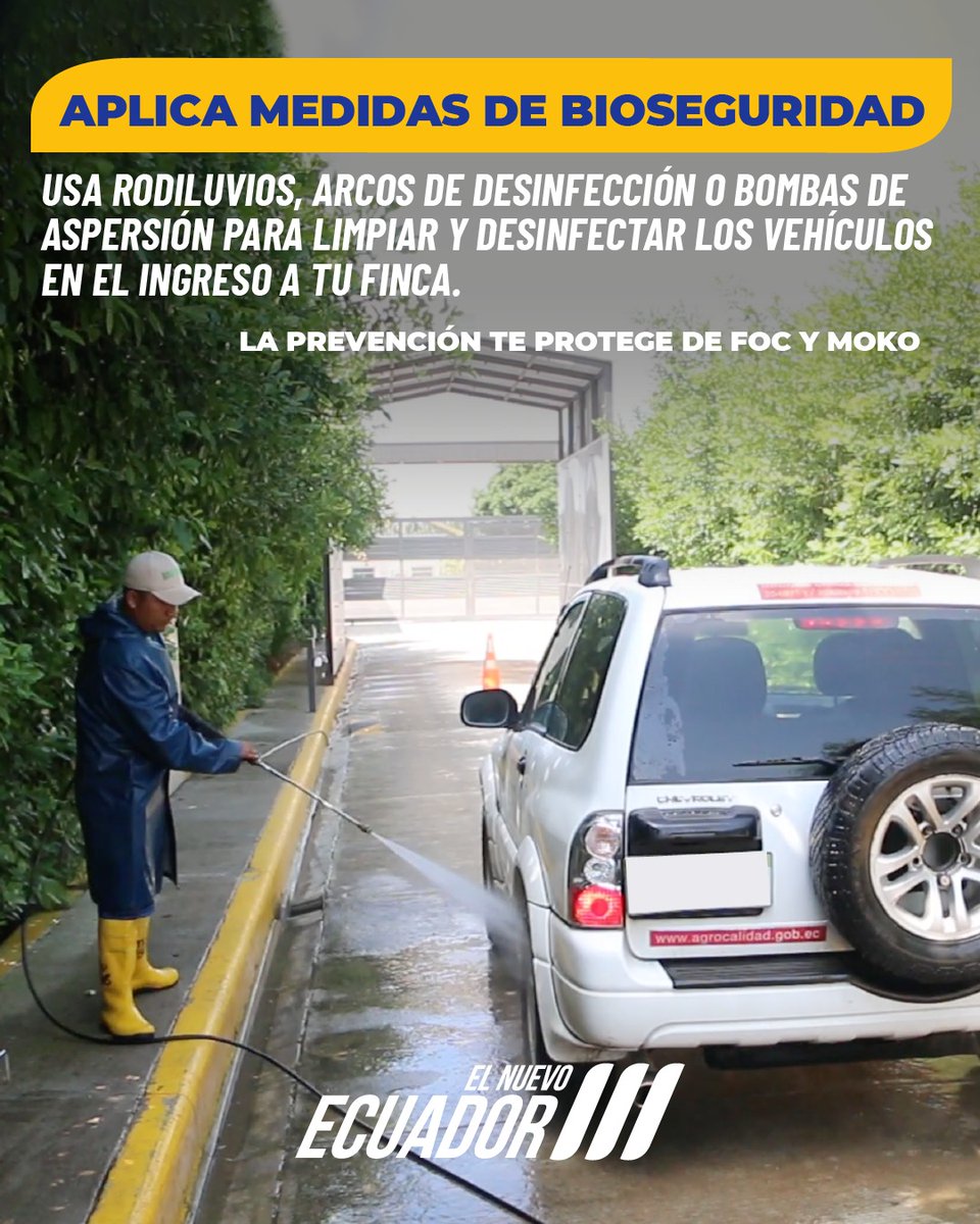 AgrocalidadEC's tweet photo. Los arcos de desinfección y bombas de aspersión son buenos aliados contra el Foc R4T y Moko. 

Recuerda implementar esta medida en tu finca y aplicarla al ingreso y salida. 👍🏻🌱

#ElNuevoEcuador https://t.co/WkcnJ90QT5