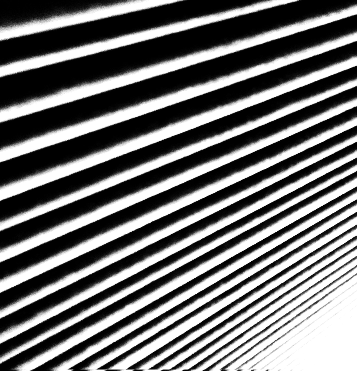 +🐸🔢 Lowcode Life 🔢🍀+ tweet media