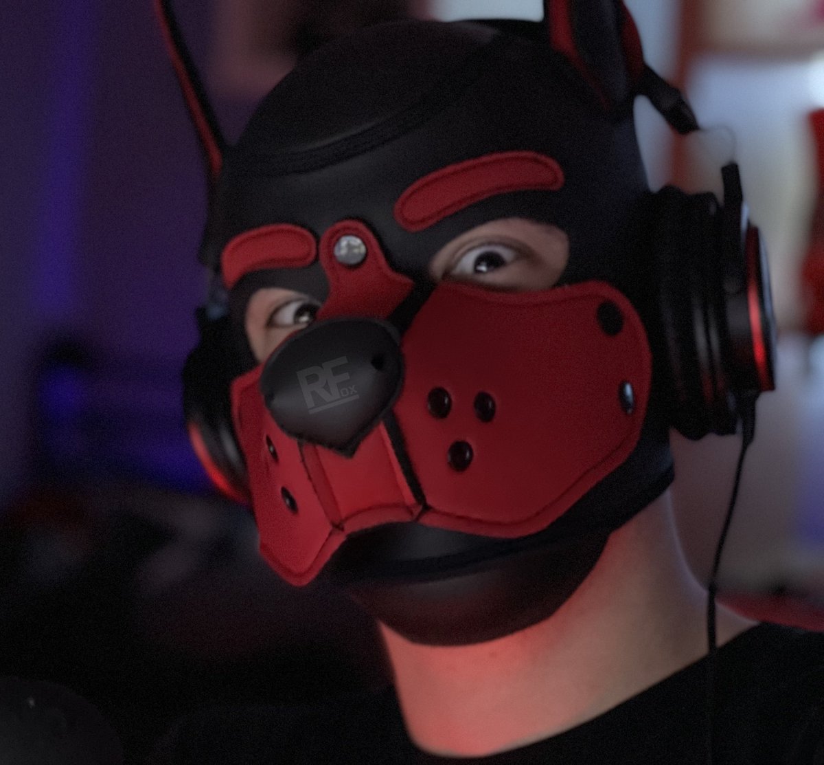 BAD_FOX703 | tweet media