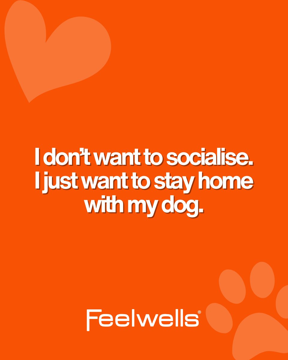 Alfie_BT's tweet image. My mood after the first week back at work 🤣🐶

#Meme #Fridayfeels #Feelwells #Dog #Doglover