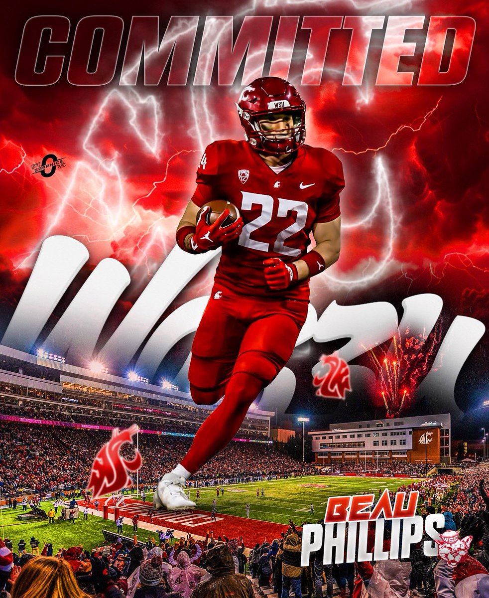 Beau Phillips tweet media