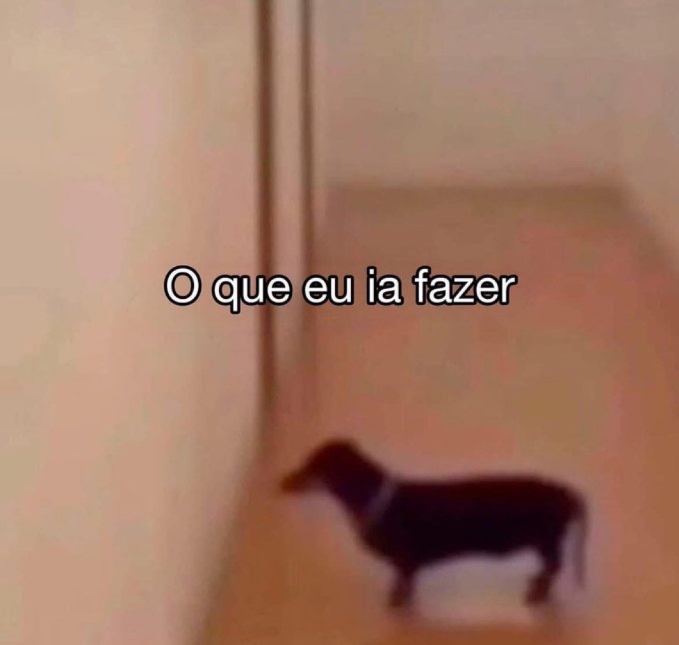 xotasagrada's tweet image. Eu a cada 20 minutos: