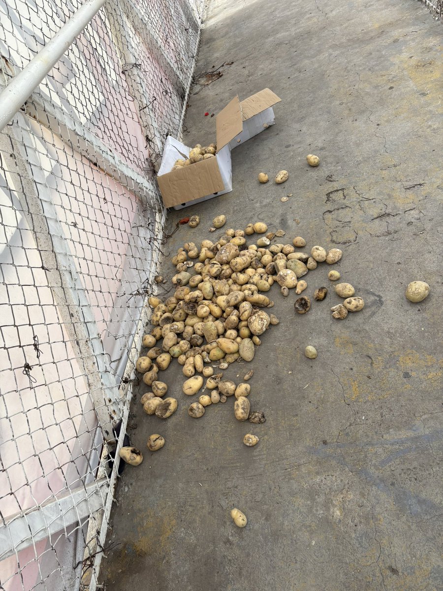 vhcompean's tweet photo. Así las condiciones del puente peatonal de blvd domingo Arrieta frente a la escuela Ignacio Zaragoza. @spublicos_dgo @DurangoCap #Durango https://t.co/Vpf6GIJ8Nz