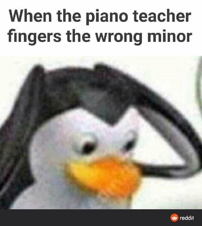 D__singularity's tweet image. 