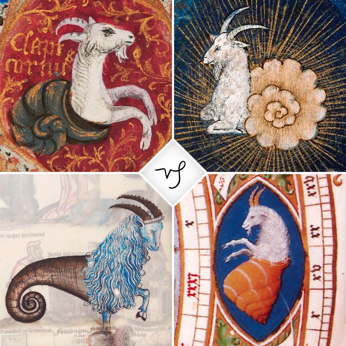 Did you know that the Sea Goat was sometimes depicted nestled inside a seashell? 

One of the things I find interesting is that even when portrayed within a shell, the lower half keeps its aquatic essence like common depictions of the Sea Goat. Capricorn is often shown with a