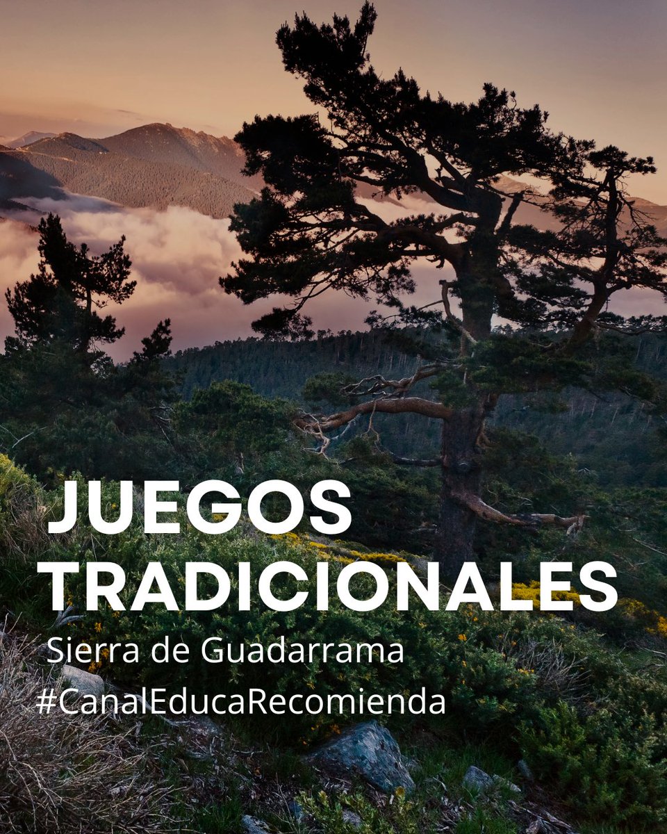 Ni la oca ni el parchís: el juego que mejora el rendimiento de los niños de  hasta 10 años y estimula su memoria - Metabolic, image size:960x1200