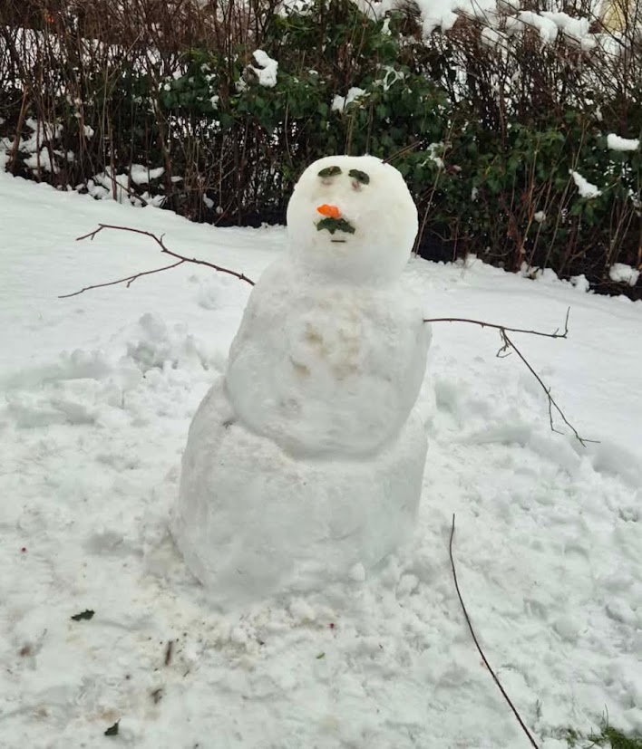 stumpy493's tweet photo. @nigelmansell My kids made a Nigel SnowMansell! https://t.co/VethvWCSan
